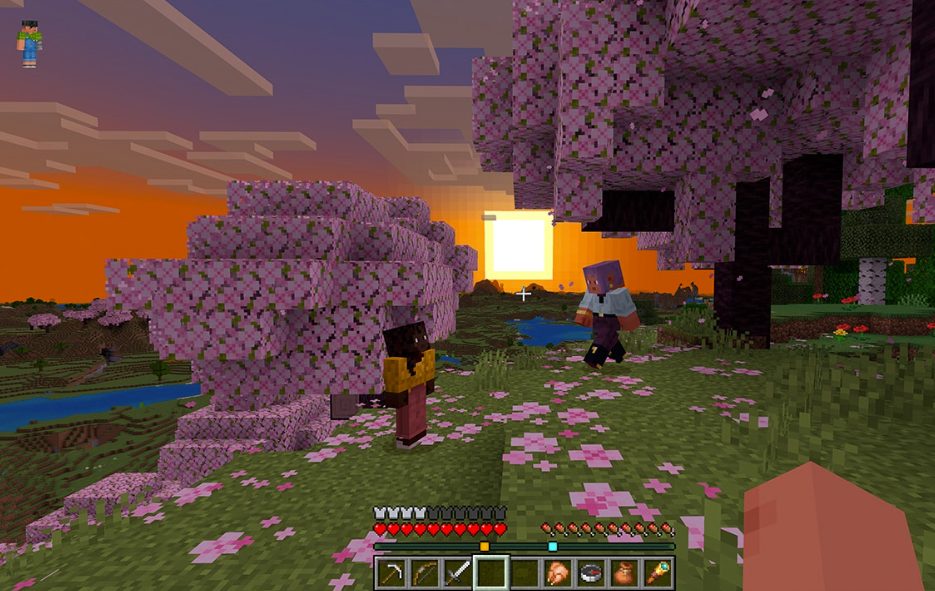 Minecraft 1.21.6 Player Locator Bar