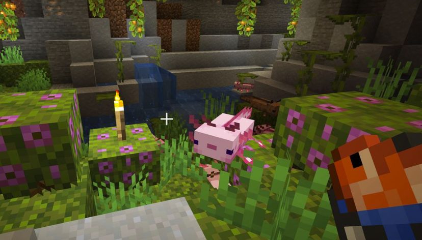 Minecraft Axolotl
