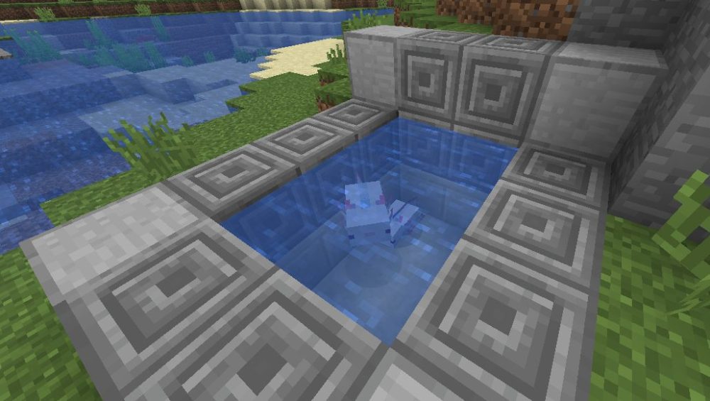 minecraft Axolotls breeding