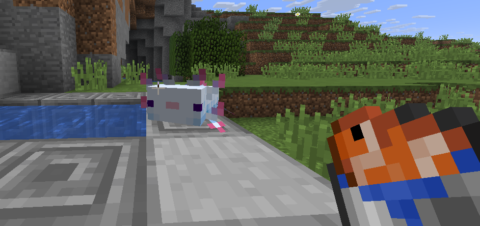 Minecraft Axolotl feed