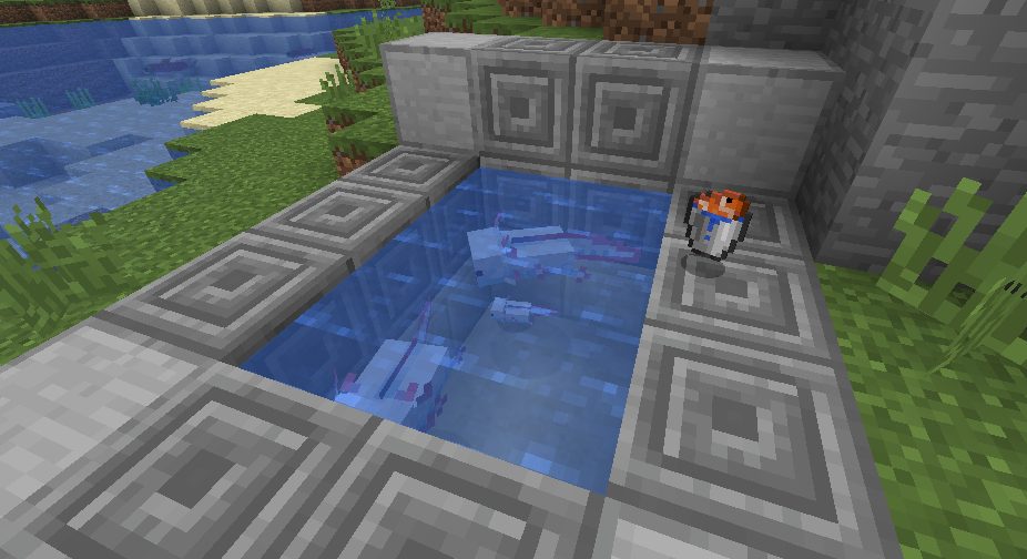 Minecraft baby axolotl