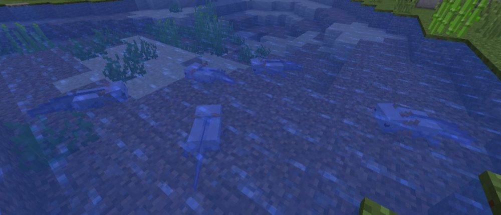minecraft blue axolotls
