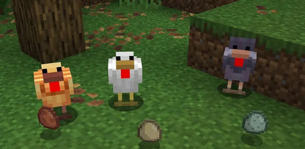 Pollos de Minecraft (1.21.5): variantes, biomas, huevos, cría y granjas automáticas