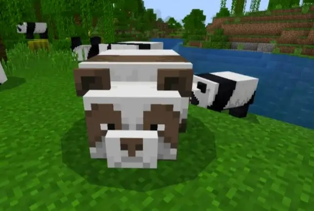 Panda personalities in Minecraft