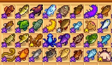 stardew valley iridium fish