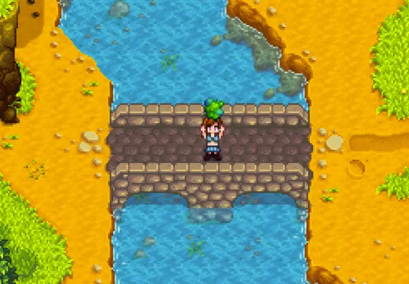 Stardew valley river