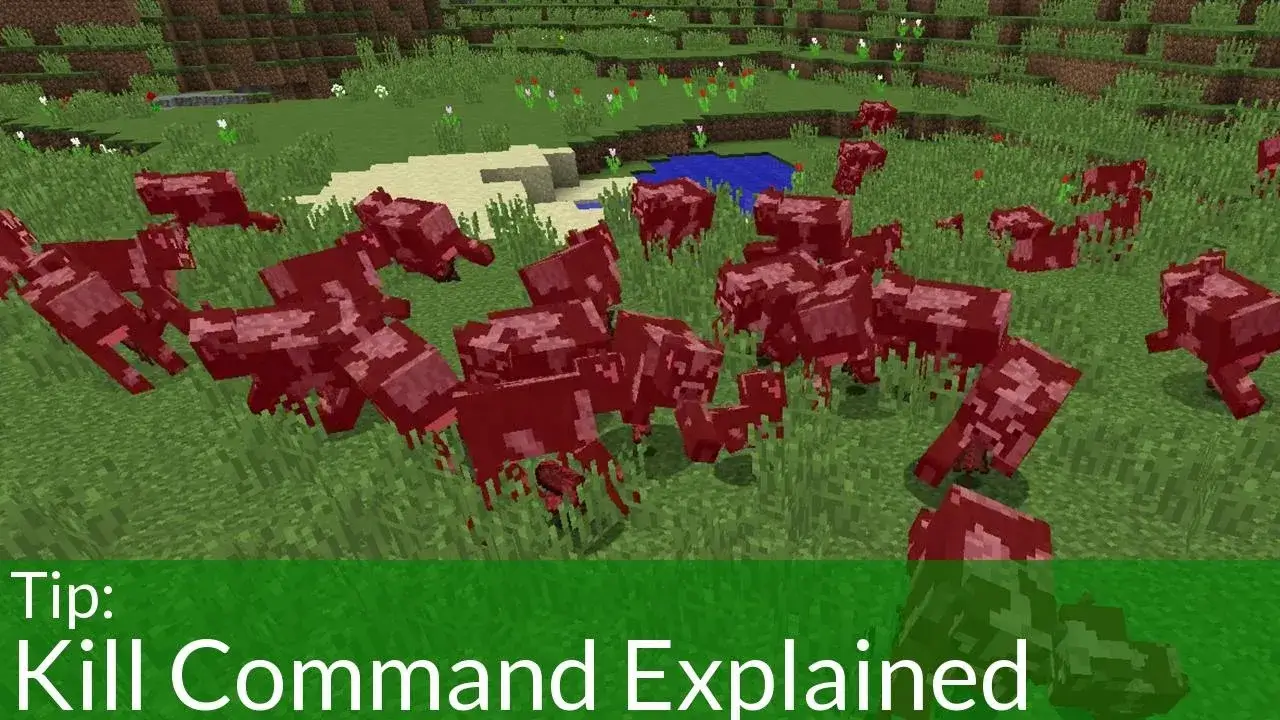 kill-command-minecraft