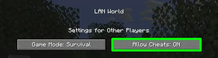 minecraft allow commands