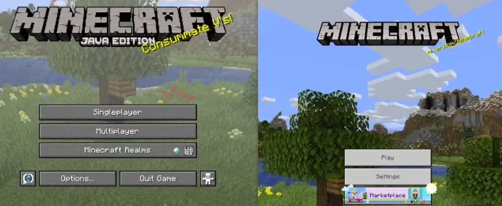 minecraft java & bedrock