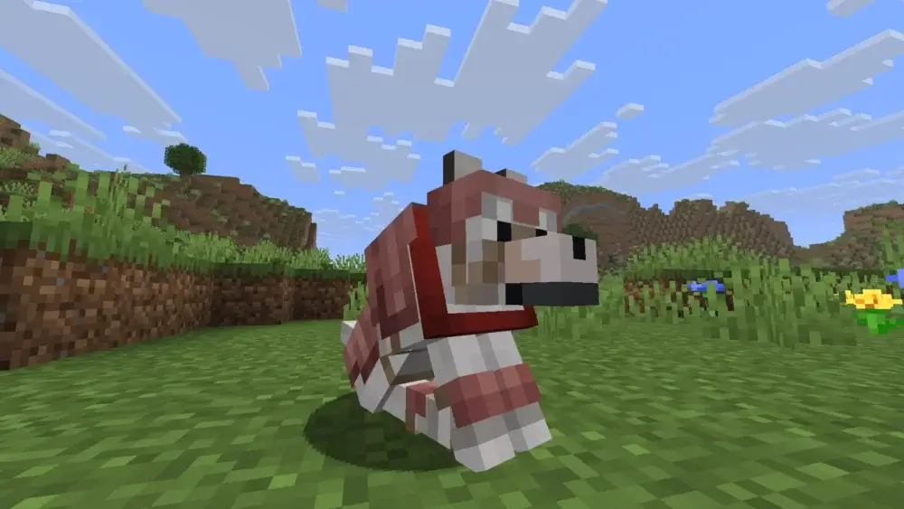 Tamed Minecraft wolf wearing wolf armor in a grassy field