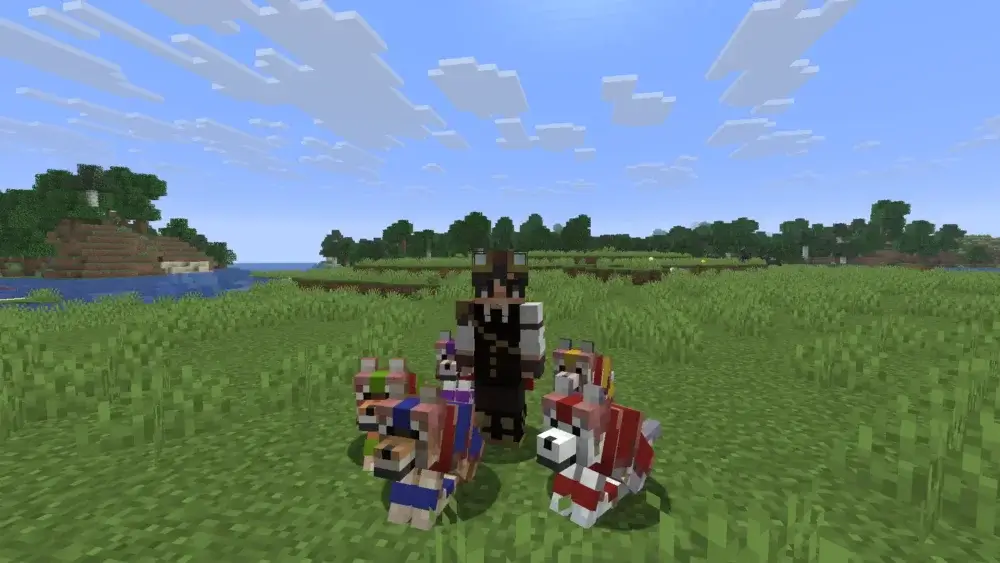Minecraft player with wolves wearing different colored wolf armor