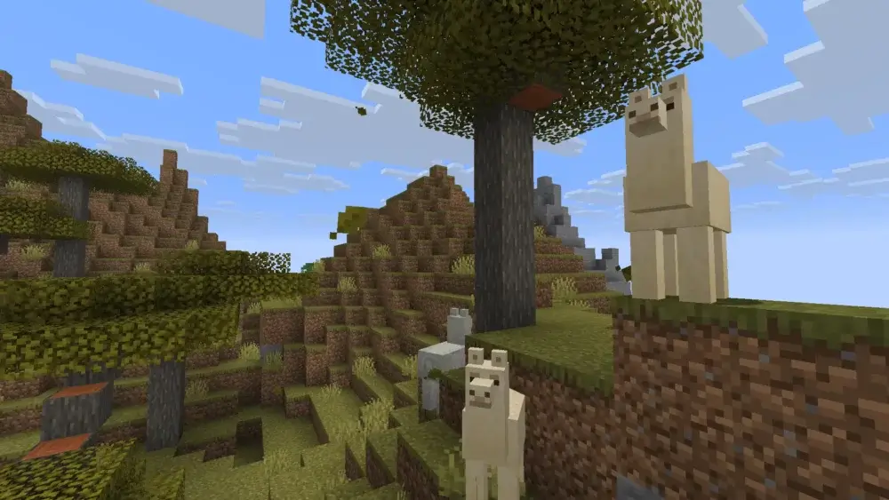 Minecraft llamas standing in a savanna biome near acacia trees and hills