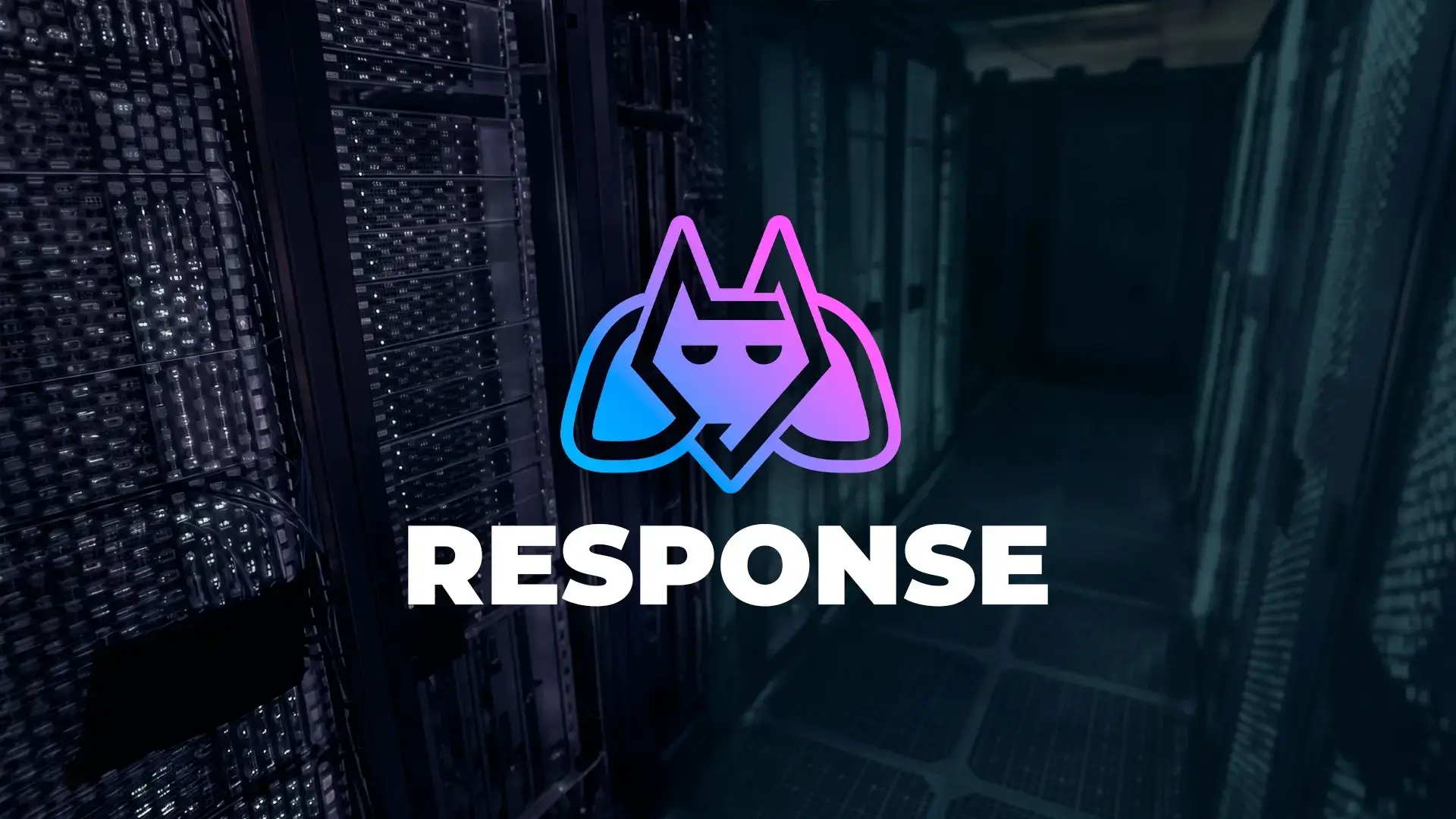 Godlike.host and scam accusations: what actually happened