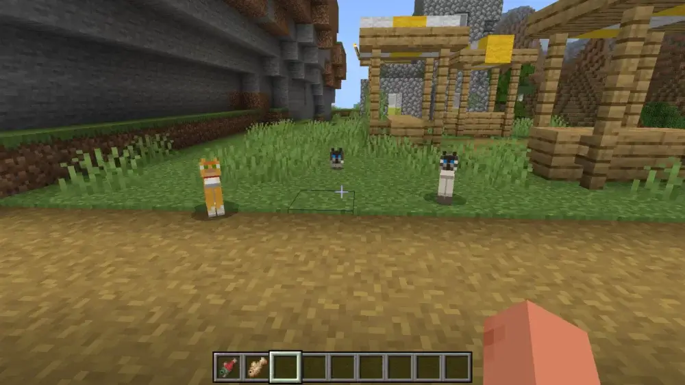 Three Minecraft cats standing near village market stalls
