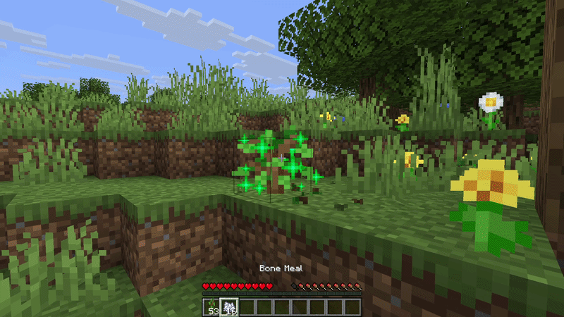 Minecraft player using bone meal to grow a sapling near flowers