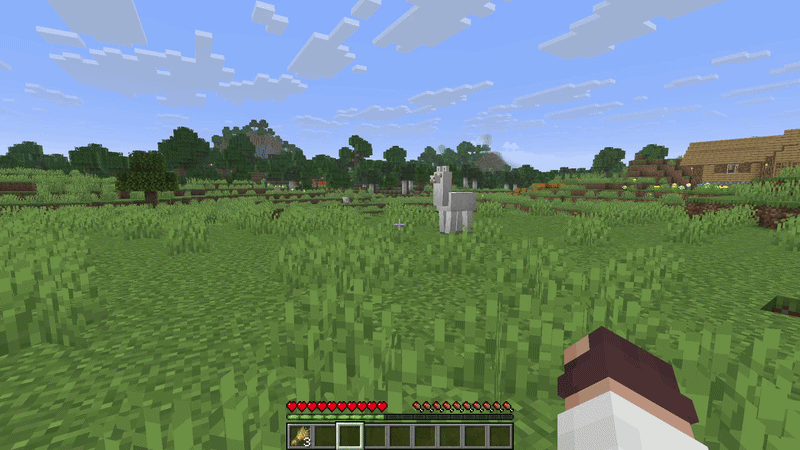 Minecraft player approaching a white llama in a grassy plains biome