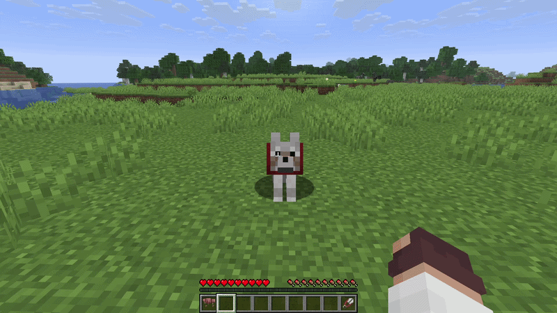 Minecraft player equipping and removing wolf armor from a tamed wolf