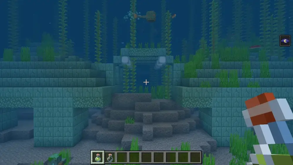 Minecraft Ocean Monument entrance in a Deep Ocean biome