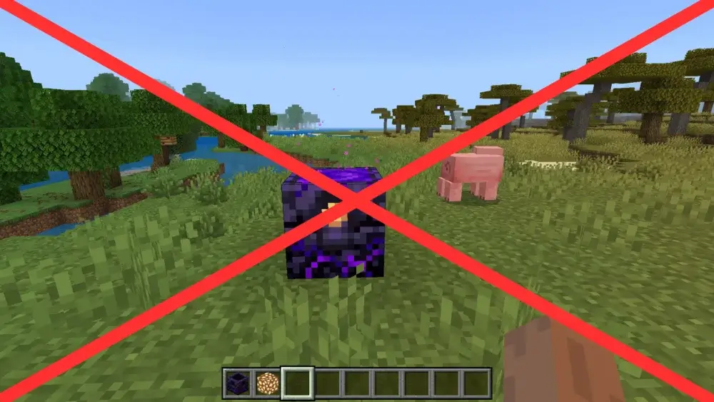 Minecraft Respawn Anchor Overworld Wrong Placement