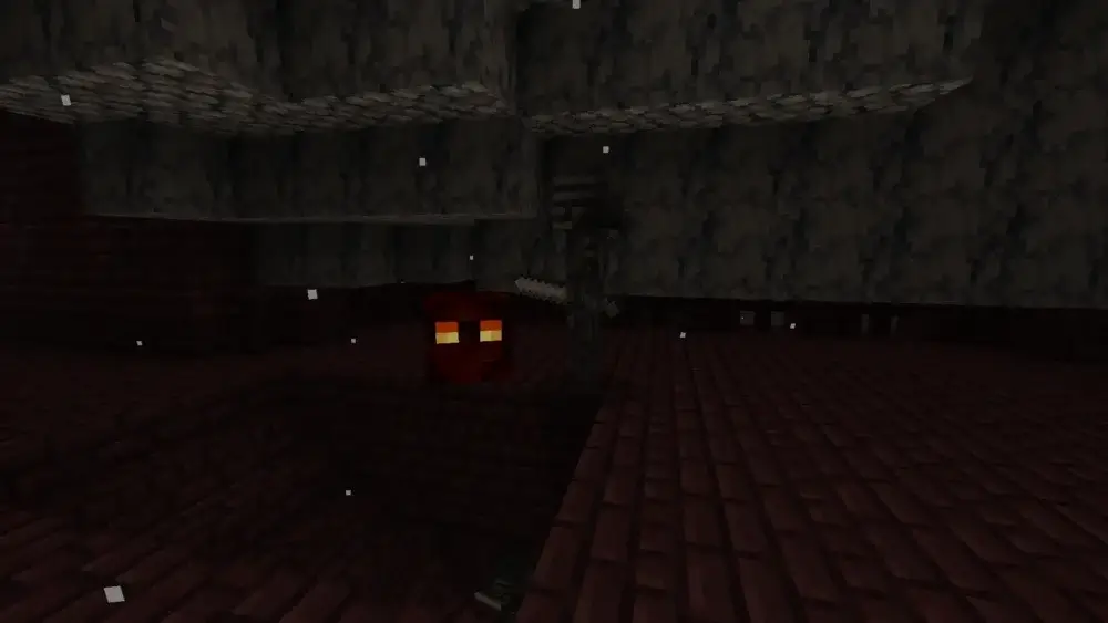 Minecraft Nether Fortress Wither Skeleton