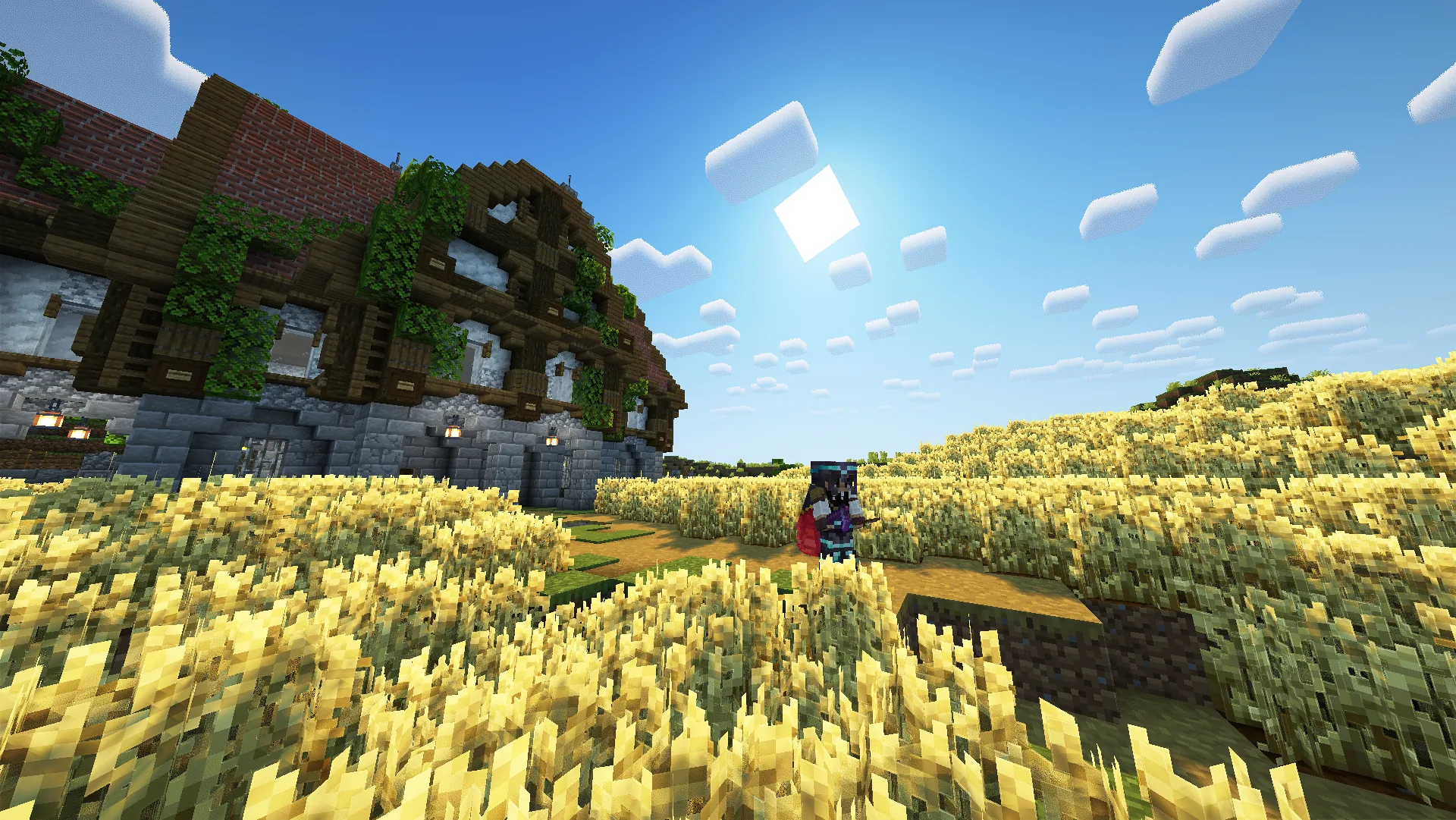 Minecraft SMP Food Farms