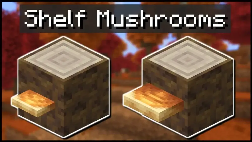 Shelf Mushrooms growing on Poplar logs in Minecraft 26.3
