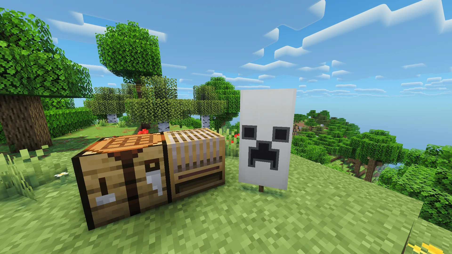 Minecraft Banner With Pattern